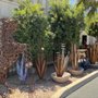 Photo of Artes Imports