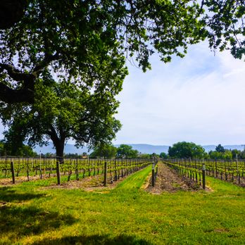 Roblar Winery - Wineries Near Me - Santa Ynez, California Roblar Winery - Wineries Near Me - Santa Ynez, California