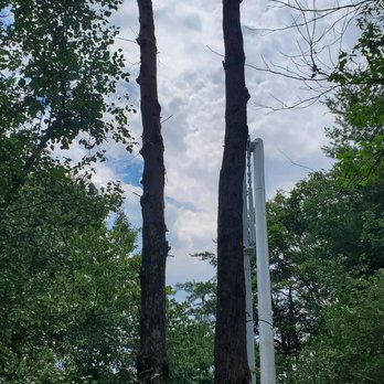 Johnson Tree & Property Maintenance - Tree Services Near Me - Eden, North Carolina