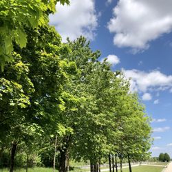 Riemer Park