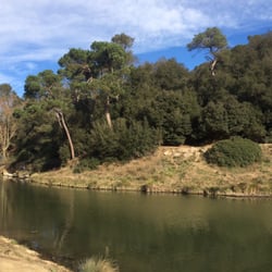 Pantà de Vallvidrera