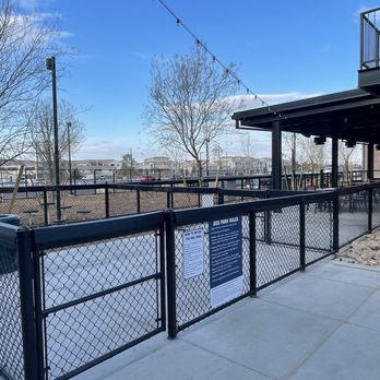 Chicken N Pickle - Dog Park - Pickleball Near Me - Henderson, Nevada Chicken N Pickle - Dog Park - Pickleball Near Me - Henderson, Nevada