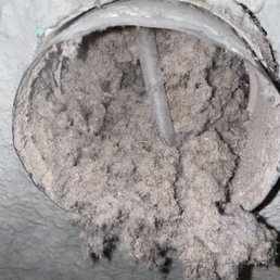 Lint from dryer duct. Wow. Lint from dryer duct. Wow.