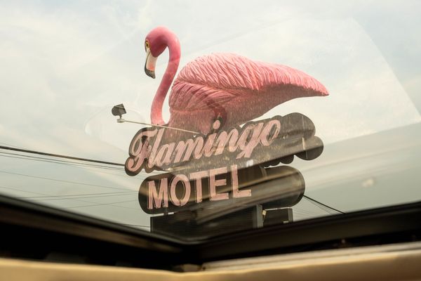 FLAMINGO MOTEL & SUITES - Updated January 2025 - 65 Photos & 76 Reviews