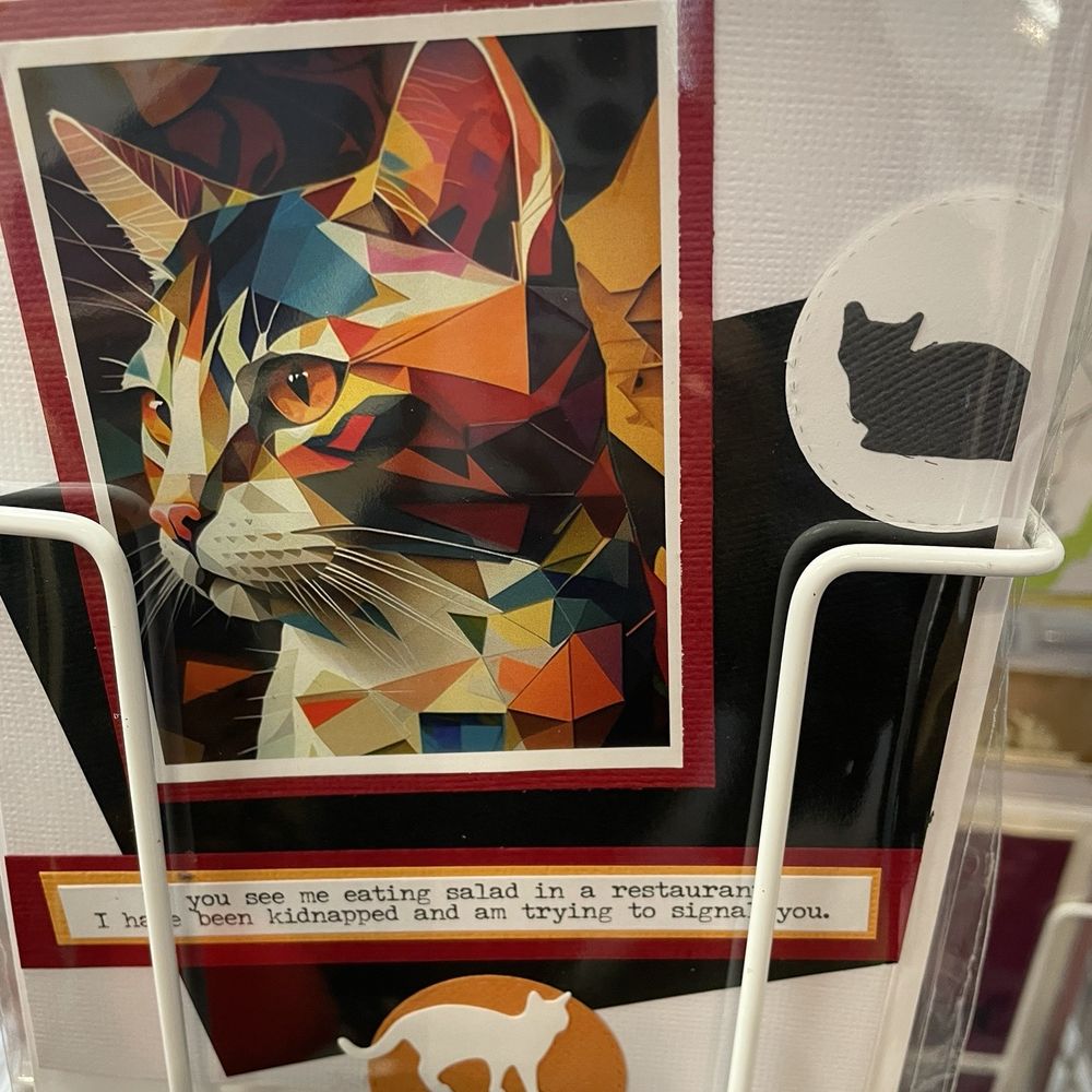 Pawsific Northwest Cat Cafe - Coffee & Tea Near Me - Olympia, Washington