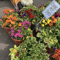 Vinnie's Little Acre