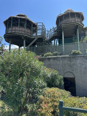 Mt. Atlanticus Minotaur Golf by null