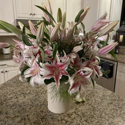 Full Bloom - 16 stems Stargazer Lillies.