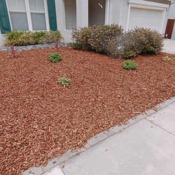 SD Valley Landscaping - Tree Services Near Me