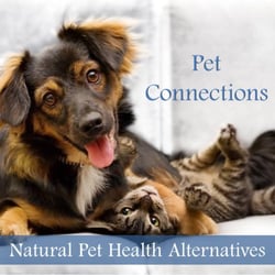 Second Nature Healing - Natural Pet Health Alternatives book includes natural solutions for cancer and diabetes. Reserve your copy. Ask for a free consultation.