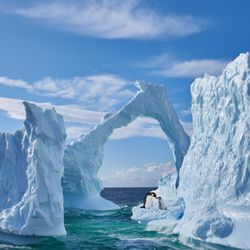 Expedia Cruises - Arctic vacation with Expedia Cruises Scottsdale - Carefree AZ