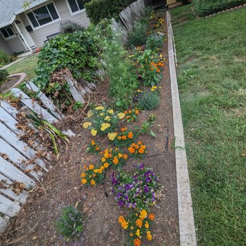 Ergeon - Before: Broken shared side fence - Fences & Gates Near Me - San Jose, California