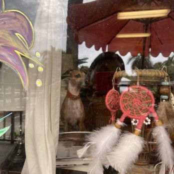The Humble Hut Naples - Puppy in the window - Cafes Near Me - Naples, Florida The Humble Hut Naples - Puppy in the window - Cafes Near Me - Naples, Florida