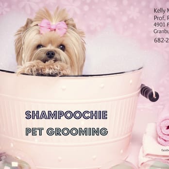 Shampoochie Pet Grooming - Pet Groomers Near Me - Granbury, Texas Shampoochie Pet Grooming - Pet Groomers Near Me - Granbury, Texas