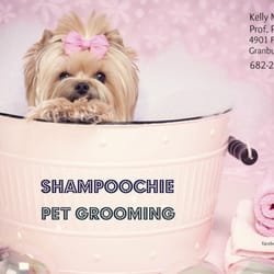 Shampoochie Pet Grooming