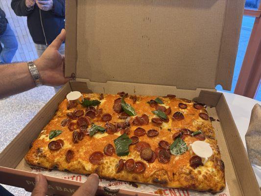 Fermento Pizza NYC by null