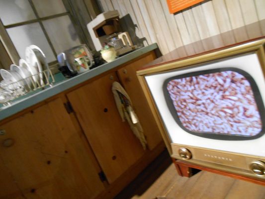 Audubon Insectarium by null