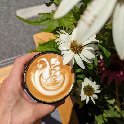 Onyx Tonics Specialty Coffee by null