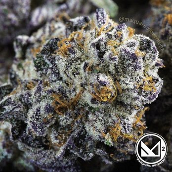 Exclusive LA - #NOTHINGBUTFIRE #MOVEMENT HOUSE OF THE MOVEMENT! - Cannabis Tours Near Me - East Los Angeles, California Exclusive LA - #NOTHINGBUTFIRE #MOVEMENT HOUSE OF THE MOVEMENT! - Cannabis Tours Near Me - East Los Angeles, California