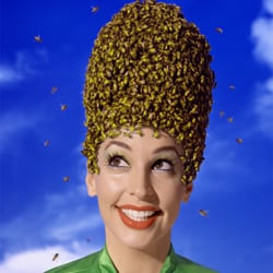 The Beehive Salon Suites - Happy Busy Beehive!