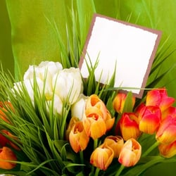 Jefferson Florist