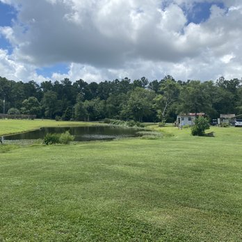 Taylor's Blueberry Farm - Pond - Pick Your Own Farms Near Me - Leland, North Carolina Taylor's Blueberry Farm - Pond - Pick Your Own Farms Near Me - Leland, North Carolina