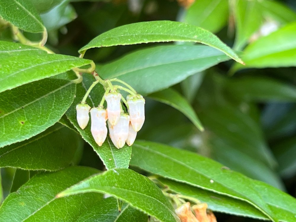 COHUTTA SCENIC BYWAY 5845 Hwy 2, Dalton, Hiking Yelp