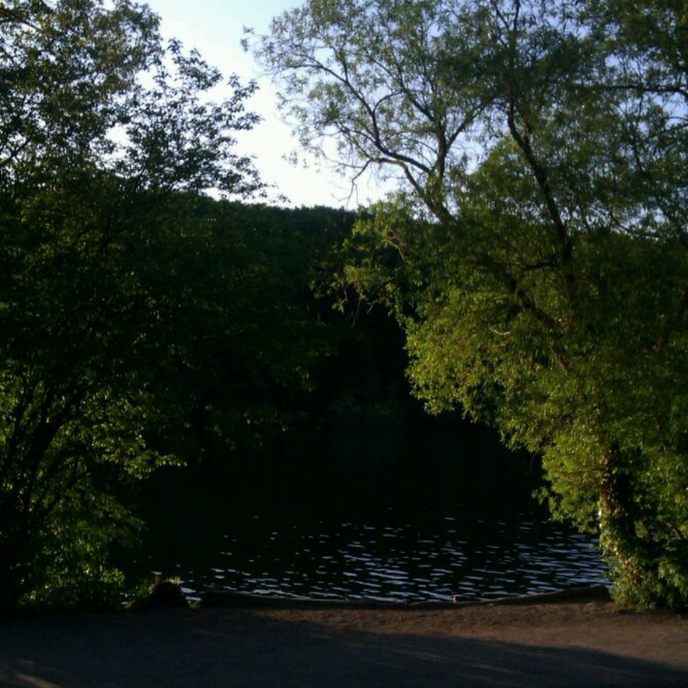 Schlachtensee - Liegewiese am sbahnhof - Lakes Near Me - Berlin, BE