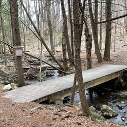 Talking Brook Public Land - Bridge
