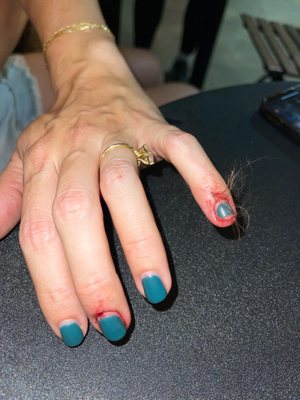 Neighbors Dog Park & Cafe by null