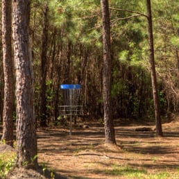 The basket at Hole #5 at the Socastee Park Disc Golf Course in Myrtle Beach, SC. The basket at Hole #5 at the Socastee Park Disc Golf Course in Myrtle Beach, SC.