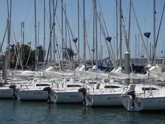 Harbor Sailboats by null