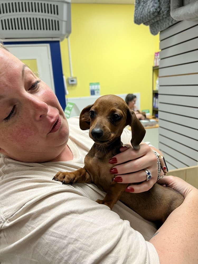 YUPPY PUPPY Updated October 2024 292 Frantz Rd, Stroudsburg