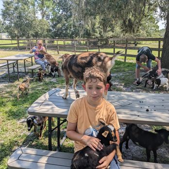 Oak Aged Farm - Petting Zoos Near Me - St. Cloud, Florida