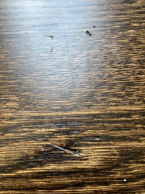 Boston Standard Company Logo