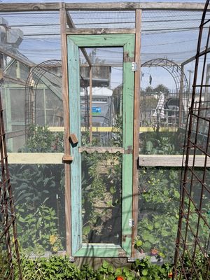 Fiorelli Pizza by null