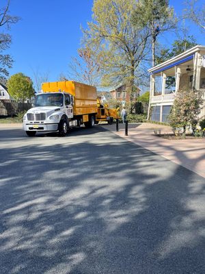 BERNIE TREE SERVICE - Updated March 2025 - 150 Photos - Montville, New ...