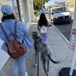 Chicana Farm Dog Training - Heading to a family event