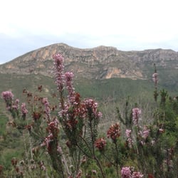 La Murta