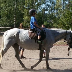 Wioska Pod Kogutem