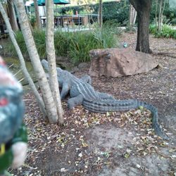 City Putt