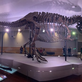 Field Museum - Museums Near Me - Chicago, Illinois Field Museum - Museums Near Me - Chicago, Illinois