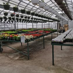 River Nursery & Garden Centre - Inside