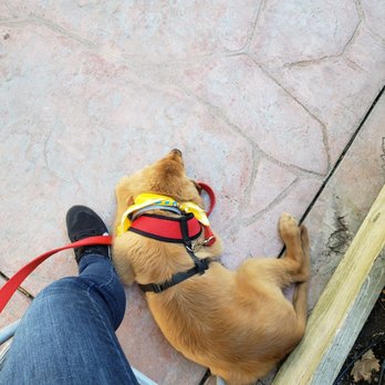 Big Dog Vineyards - Pet friendly - Venues & Event Spaces Near Me - Milpitas, California