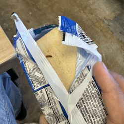 Eisenhower High School - Insect in pop tart