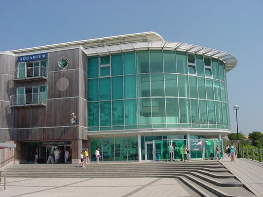 National Marine Aquarium by null