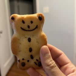 Teddy Bear cookie