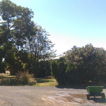 Avoca Motel - Grounds - Hotels & Travel Near Me - Avoca, VIC
