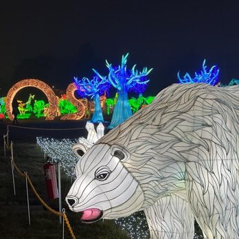 LuminoCity Festival - Festivals Near Me - Gaithersburg, Maryland LuminoCity Festival - Festivals Near Me - Gaithersburg, Maryland