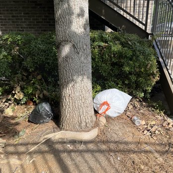Copper Social Student Apartments - trash by the stairs up to someone's front door - Apartments Near Me - Marietta, Georgia Copper Social Student Apartments - trash by the stairs up to someone's front door - Apartments Near Me - Marietta, Georgia